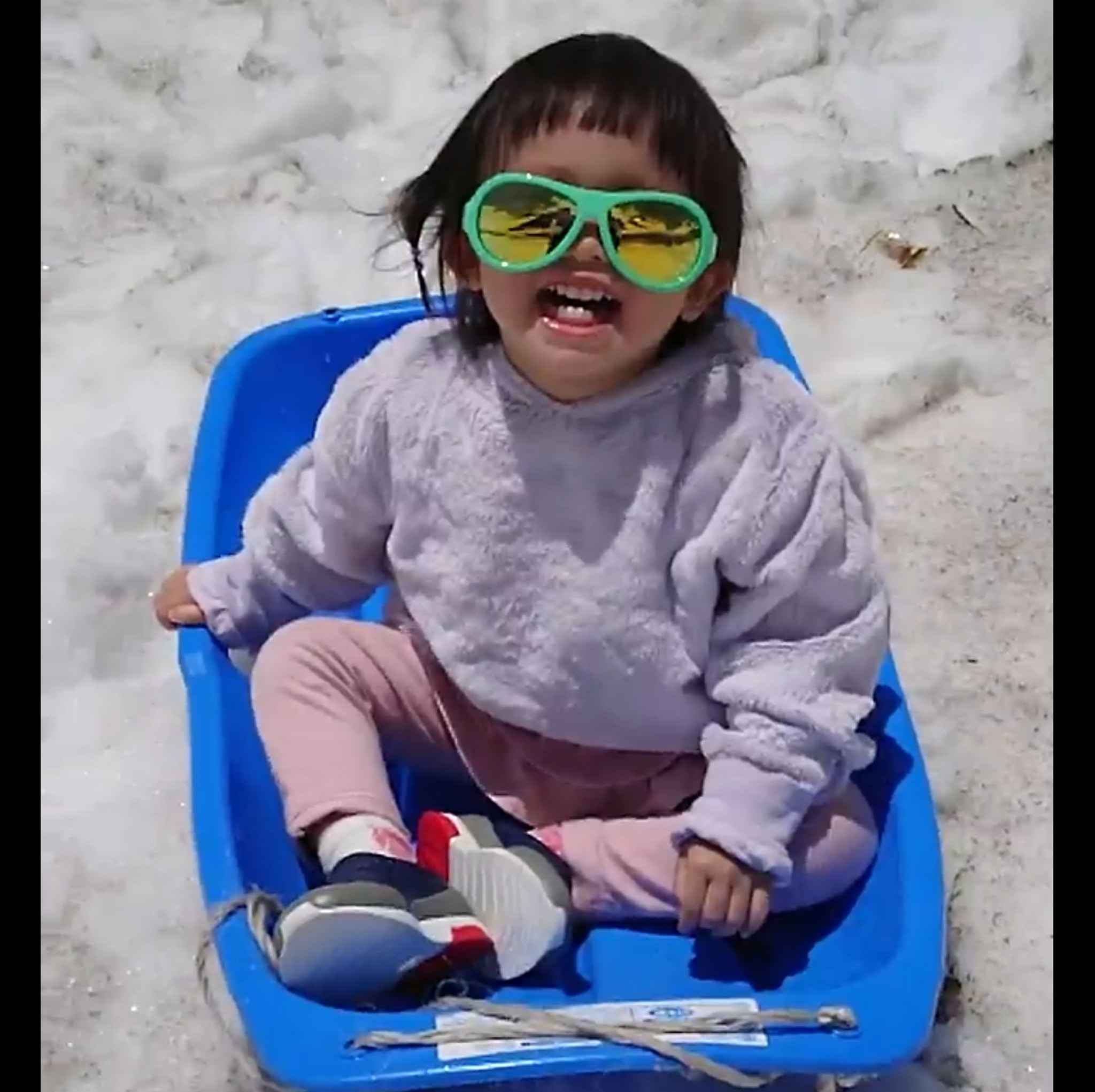 小豬豬的奇幻冒險 旅遊 親子 住宿 美食 露營 玩具